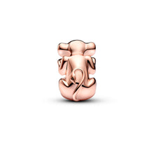 Load image into Gallery viewer, Disney The Lion King Nala Charm