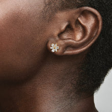 Load image into Gallery viewer, Sparkling Herbarium Cluster Stud Earrings