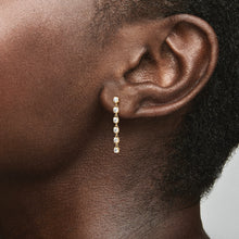 Load image into Gallery viewer, Sparkling Stones Drop Earrings