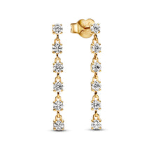 Load image into Gallery viewer, Sparkling Stones Drop Earrings