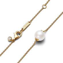 Load image into Gallery viewer, Treated Freshwater Cultured Pearl Collier Necklace