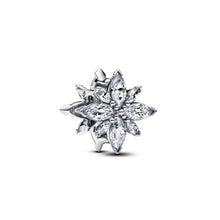 Load image into Gallery viewer, Sparkling North Star Charm