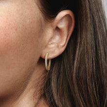 Load image into Gallery viewer, Pandora Signature Logo & Pavé Hoop Earrings