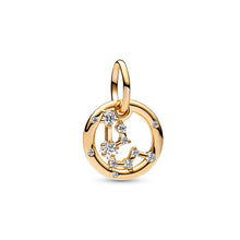 Load image into Gallery viewer, Aquarius Zodiac Dangle Charm