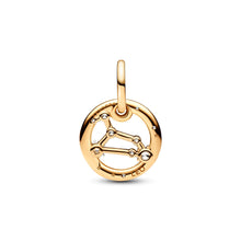 Load image into Gallery viewer, Leo Zodiac Dangle Charm