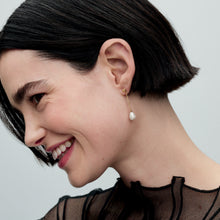Load image into Gallery viewer, Treated Freshwater Cultured Pearl Drop Earrings