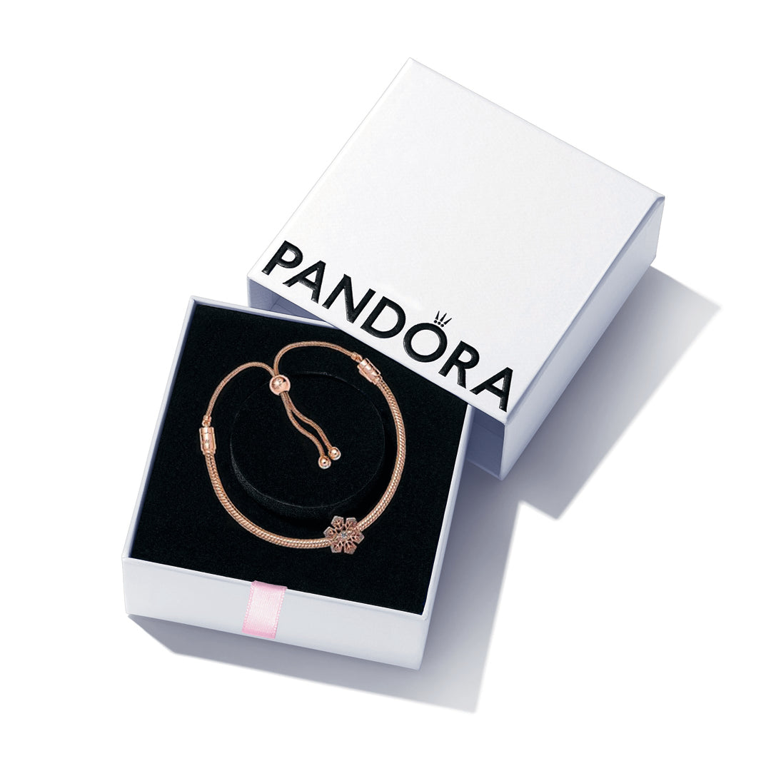 Pandora snowflake gift deals set