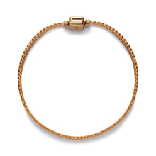 Load image into Gallery viewer, Pandora Reflexions Mesh Bracelet