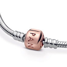 Load image into Gallery viewer, Moments Snake Chain Bracelet