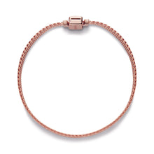 Load image into Gallery viewer, Pandora Reflexions Mesh Bracelet