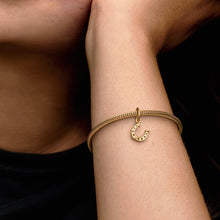 Load image into Gallery viewer, Lucky Horseshoe Dangle Charm