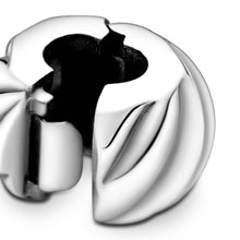 Load image into Gallery viewer, Polished Feathered Clip Charm