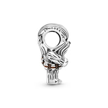 Load image into Gallery viewer, Star Wars Chewbacca Charm