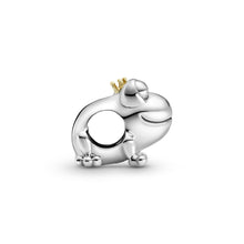 Load image into Gallery viewer, Two-tone Frog Prince Charm