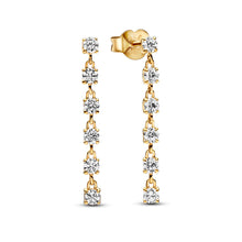 Load image into Gallery viewer, Sparkling Stones Drop Earrings
