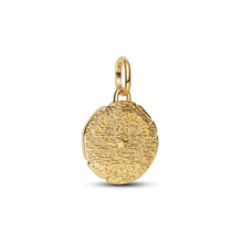 Load image into Gallery viewer, Lion Medallion Charm

