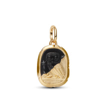Load image into Gallery viewer, Owl Medallion Charm
