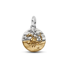 Load image into Gallery viewer, Scorpio Zodiac Medallion Charm
