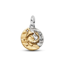 Load image into Gallery viewer, Pisces Zodiac Medallion Charm

