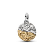 Load image into Gallery viewer, Aries Zodiac Medallion Charm
