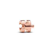 Load image into Gallery viewer, Puzzle Piece Mini Charm
