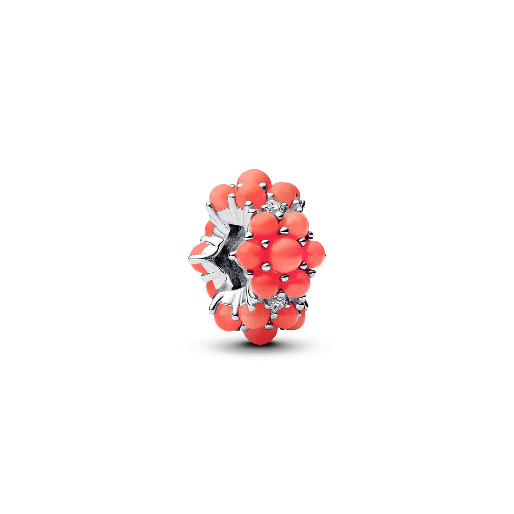Coral-colored Ocean Charm
